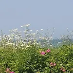 Ostsee-feeling In - Kapitaen Nemo - Meer- Und Strandnah - Grosser Suedbalkon - Blick Ins Gruene *