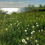 Διαμέρισμα Ostsee-feeling In - Kapitaen Nemo - Meer- Und Strandnah - Grosser Suedbalkon - Blick Ins Gruene *
