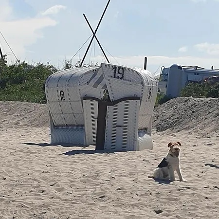 Ostsee-feeling In - Kapitaen Nemo - Meer- Und Strandnah - Grosser Suedbalkon - Blick Ins Gruene