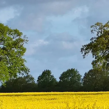 Ostsee-feeling In - Kapitaen Nemo - Meer- Und Strandnah - Grosser Suedbalkon - Blick Ins Gruene
