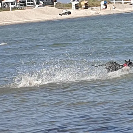 شقة Ostsee-feeling In - Kapitaen Nemo - Meer- Und Strandnah - Grosser Suedbalkon - Blick Ins Gruene