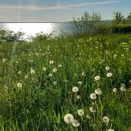 Appartamento Ostsee-feeling In - Kapitaen Nemo - Meer- Und Strandnah - Grosser Suedbalkon - Blick Ins Gruene *