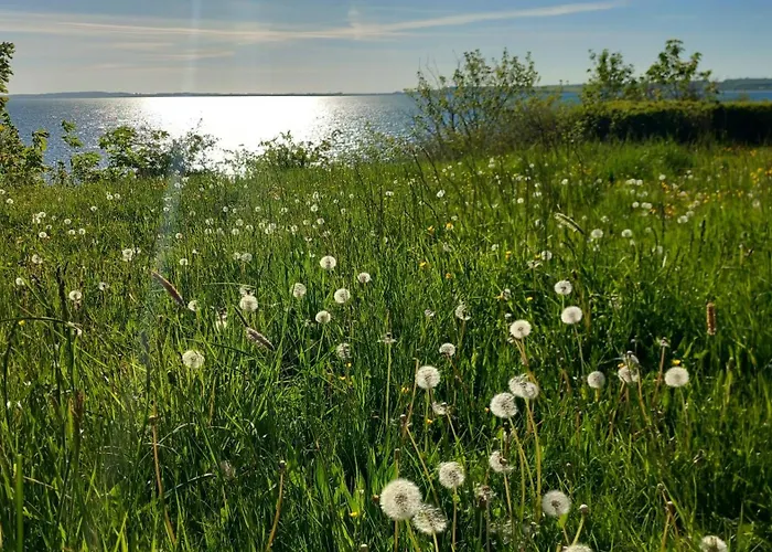 Apartman Ostsee-feeling In - Kapitaen Nemo - Meer- Und Strandnah - Grosser Suedbalkon - Blick Ins Gruene *